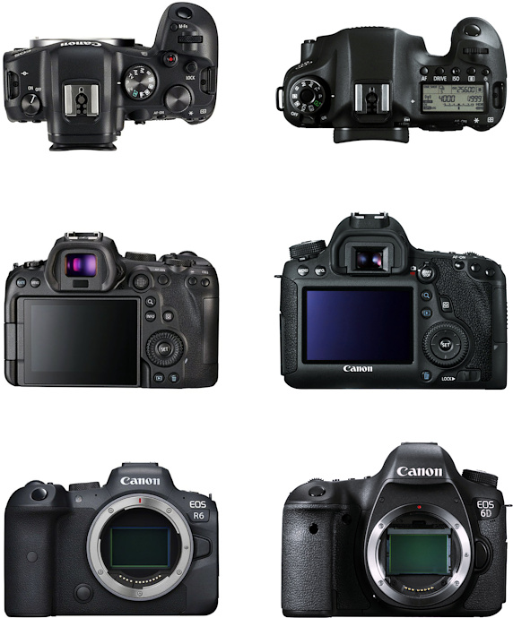 EOS R6 Mark II vs EOS R6 vs EOS 6D Mark II - Canon Middle East